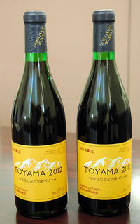 No.611-2:県立大発見の酵母から生まれた赤ワイン「TOYAMA2012　ベリーA」、新発売