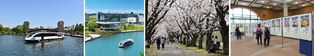 No.994:春の陽光に誘われて、富岩水上ラインで運河クルーズ　／　県中央植物園で「植物園で楽しむ　日本全国桜旅」へ